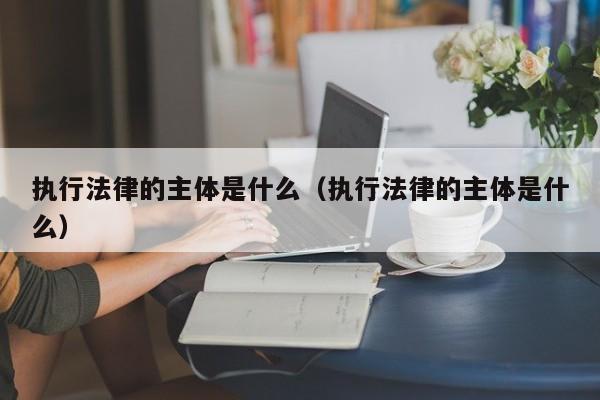 执行法律的主体是什么(执行法律的主体是什么)