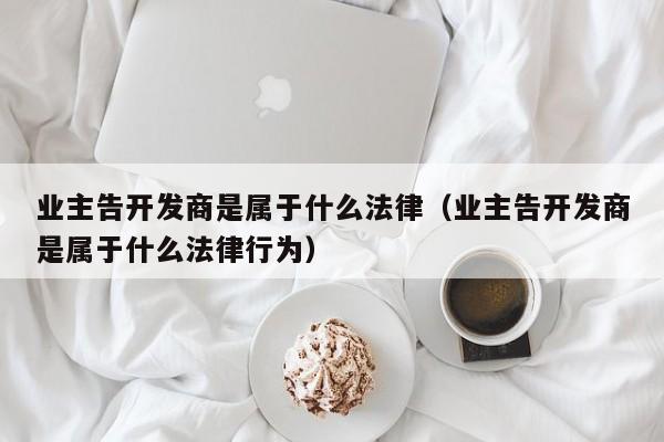 业主告开发商是属于什么法律(业主告开发商是属于什么法律行为)